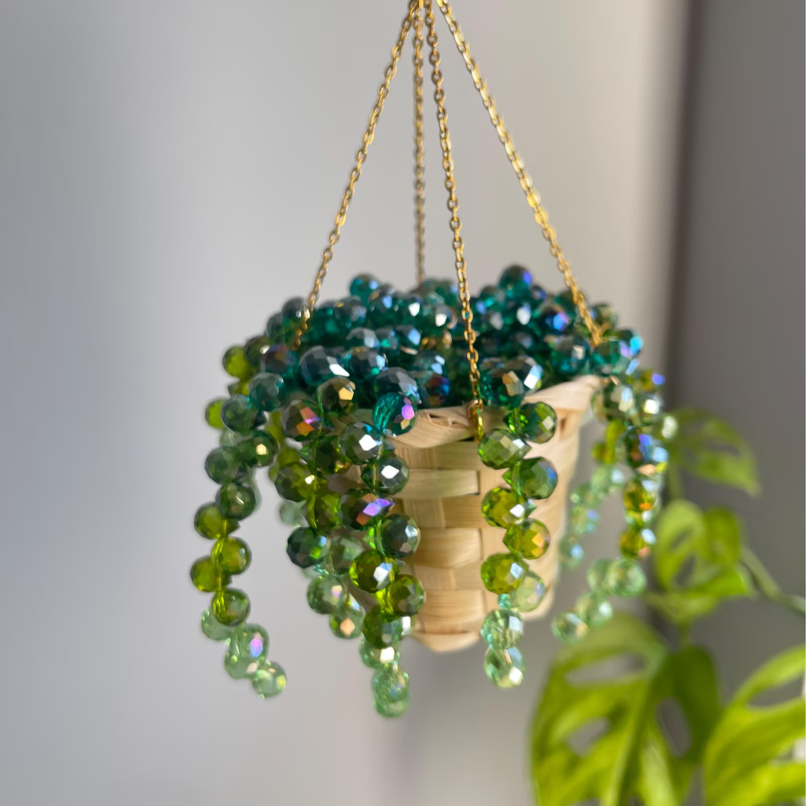 Mati's Plant Suncatcher -