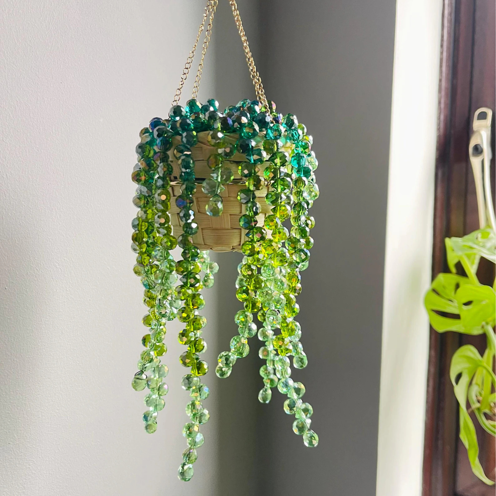 Mati's Plant Suncatcher V2