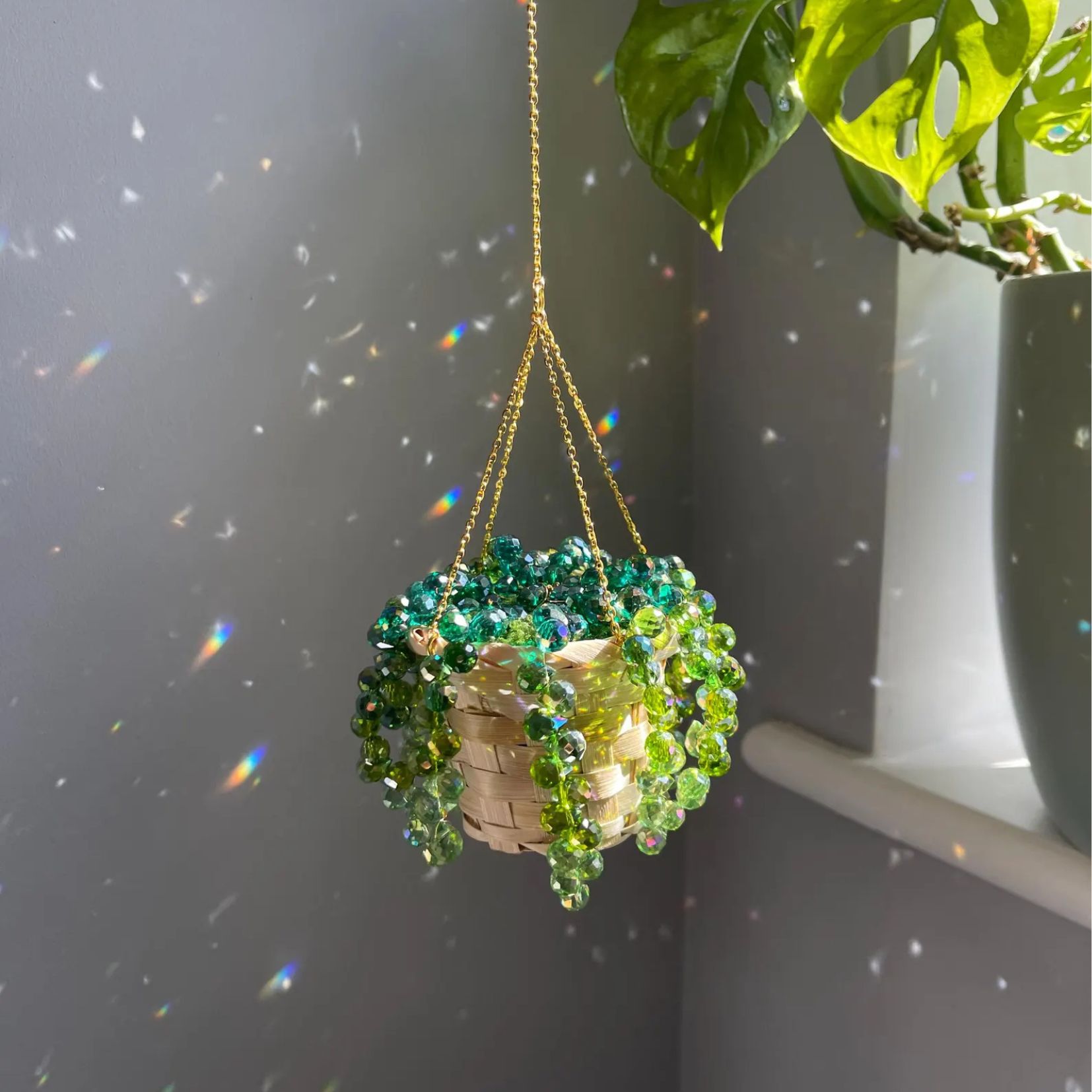 Mati's Plant Suncatcher -