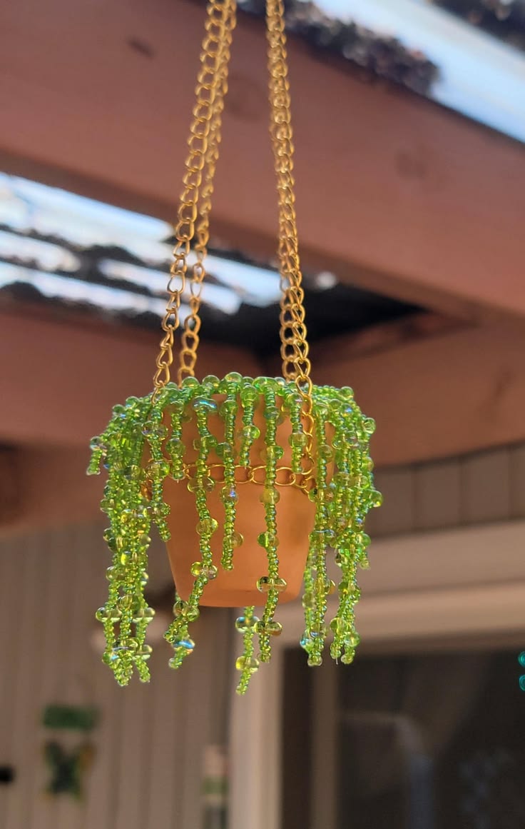 files/String_of_Pearls_Beaded_Plant.jpg